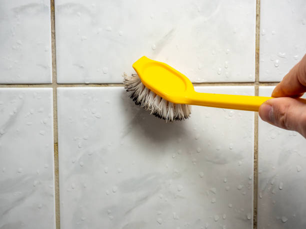 Best Residential Mold Remediation in Whitewater, KS