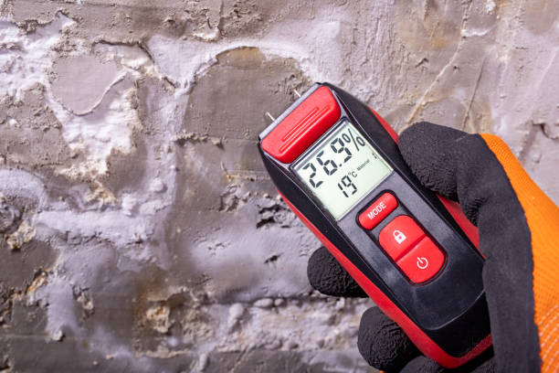 Best HVAC Mold Remediation in Whitewater, KS