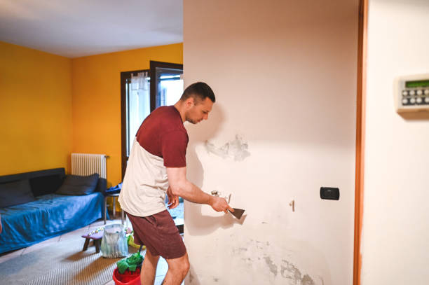 Best Bathroom Mold Remediation in Whitewater, KS